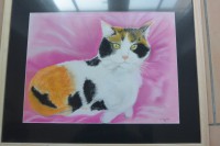 /album/chats/photo-1448-jpg/